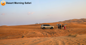 Morning desert safari booking Tips