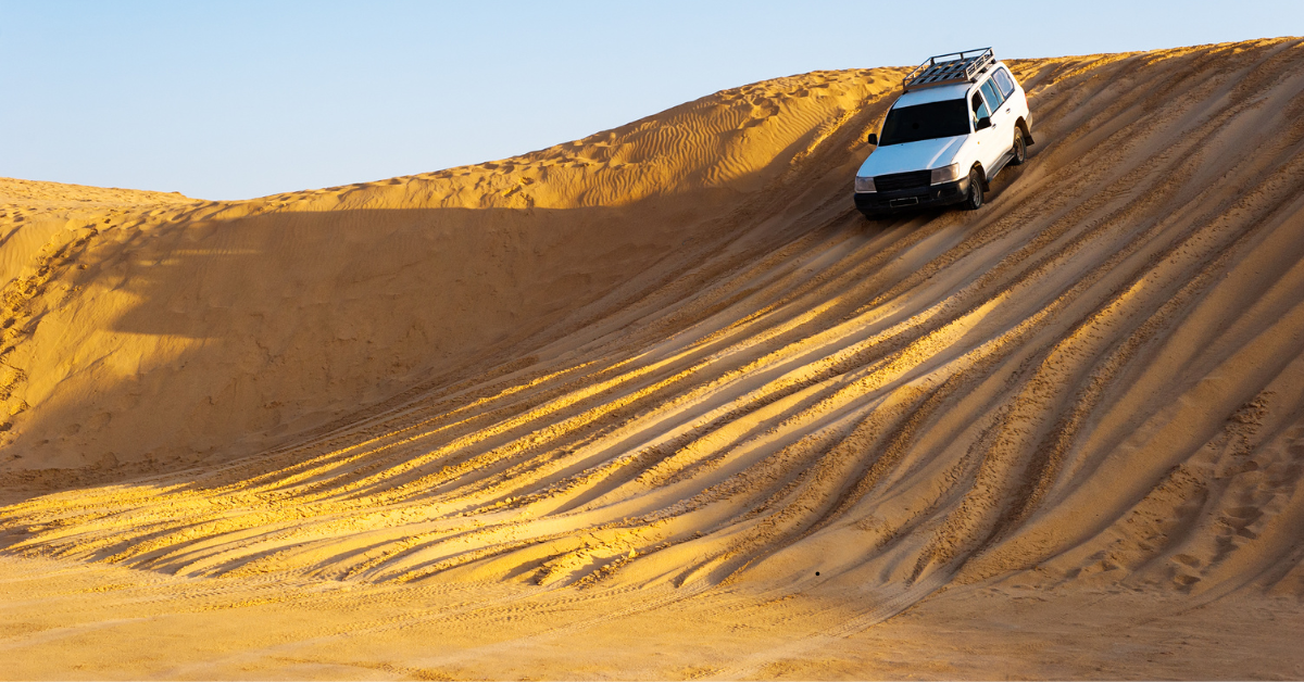 Morning desert safari booking Tips