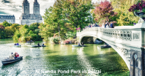Al Nahda Pond Park in Dubai