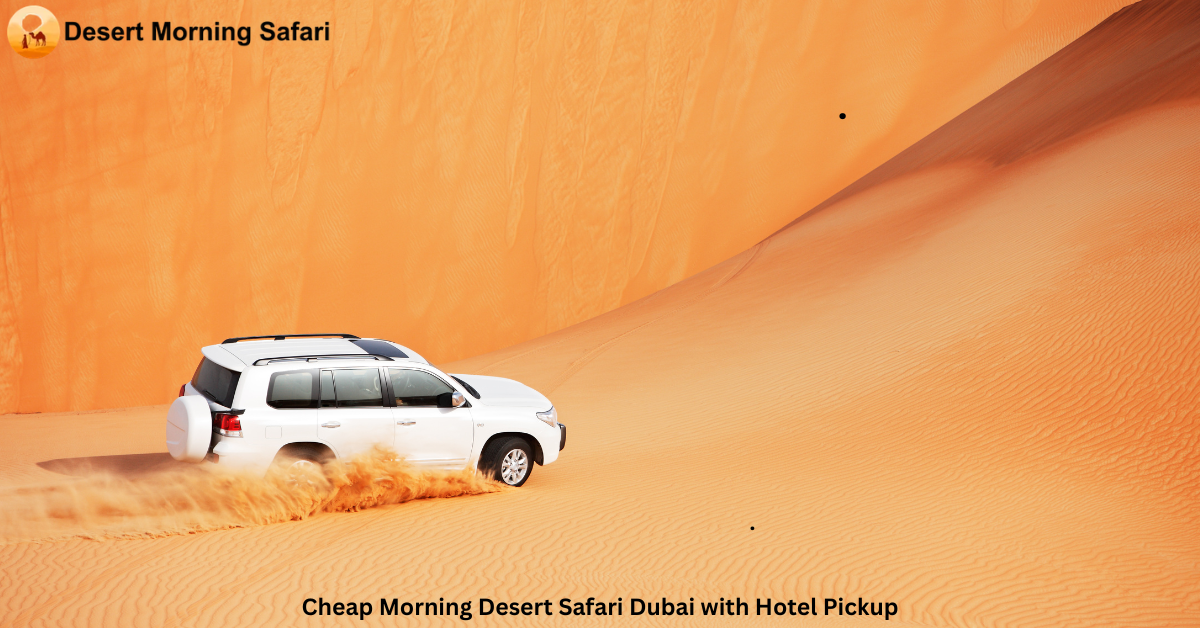 Cheap Morning Desert Safari Dubai with Hotel Pickup